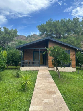 Çıralı Villa's